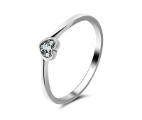 Silver Rings NSR-880